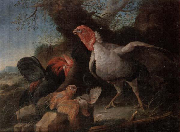 unknow artist Still life of a turkey,a bantan,a barn owl and a grey partridge in a rocky landscape